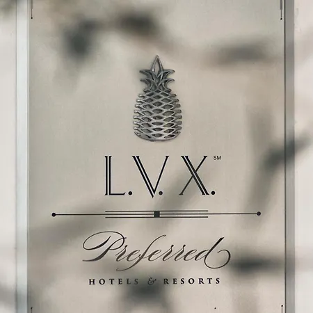 Lesante Classic - Preferred & チィリヴィ